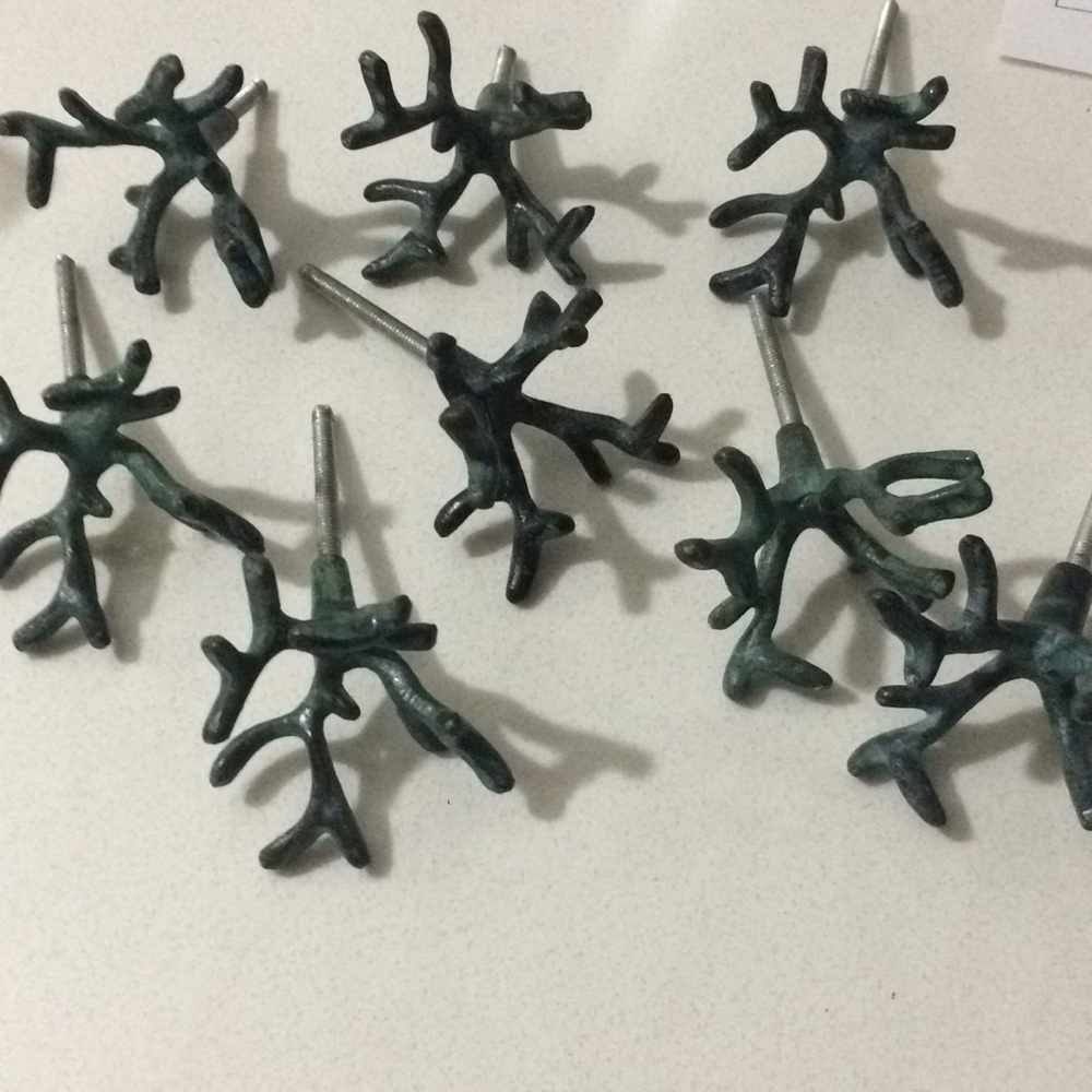 Coral drawer pulls